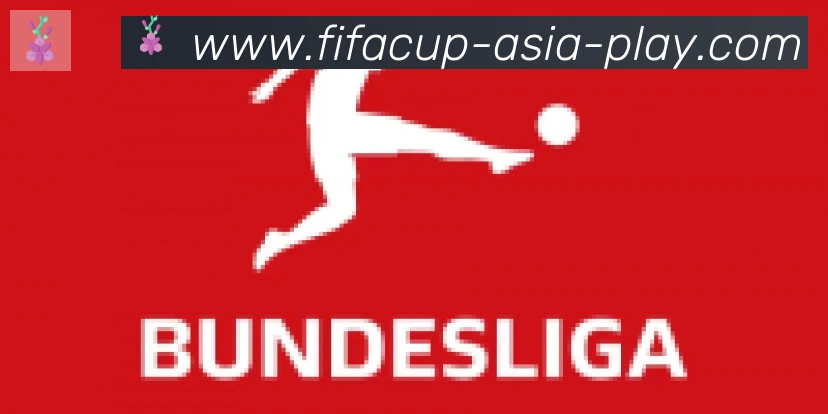 FIFA世界杯玩法官方网站合作伙伴